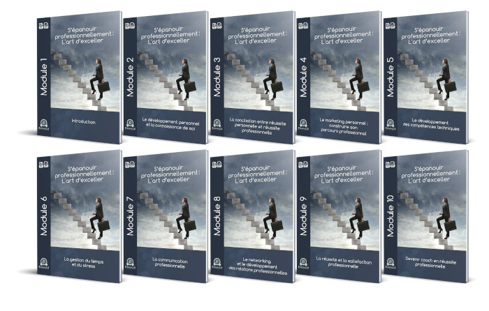 10 Modules PDF formation réussite professionnelle