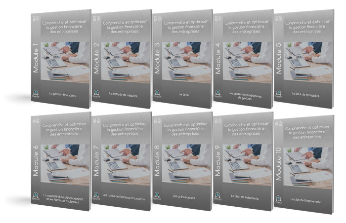 10 Modules PDF formation gestion financière des entreprises