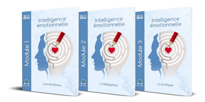 3 modules formation intelligence émotionnelle