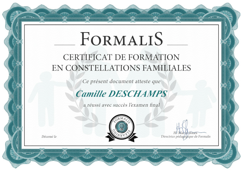 certificat formation en constellations familiales
