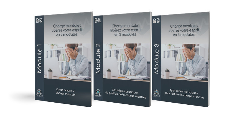 3 modules charge mentale